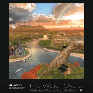 free-water-cycle-poster