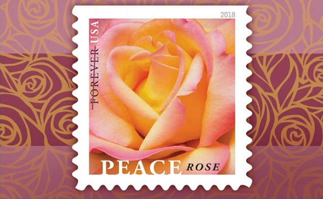 hot  60 usps peace rose forever stamps for only  25 50