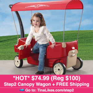 ig-canopy-wagon-1027