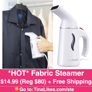 Fabric-Steamer-IG