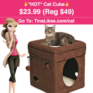 IG-cat-cube