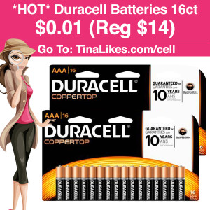 IG-office-duracell