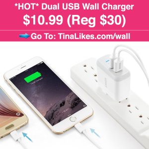 IG-wall-charger