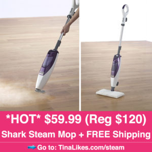 IG-bb-shark-steam-mop