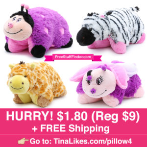 IG-Hollar-PillowPet
