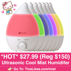 IG-Humidifier