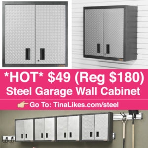 IG-Steel-Wall-Cabinet
