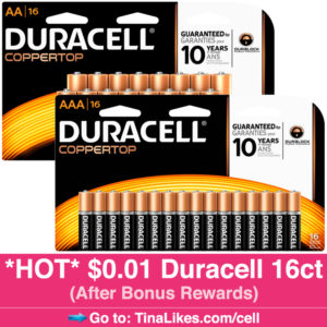 ig-office-depot-batteries-102