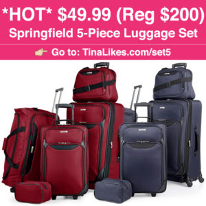 ig-springfield-luggage-set