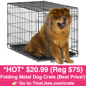 dog-crate-ig