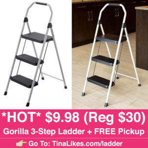 ig-ladder-1