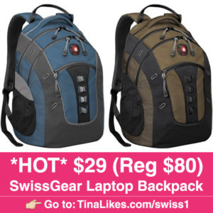 swissgear-laptop-backpack-ig