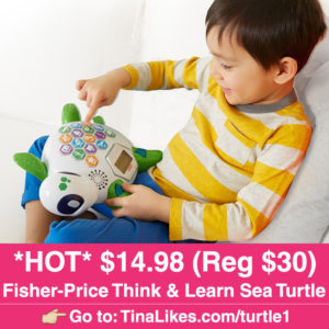 Fisher-Price-Think-Learn-Turtle-IG