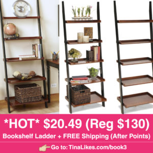 ig-bookshelf-ladder