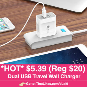 ig-dual-usb-charger