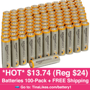 IG-AmazonBasics-100-Pack-Batteries1