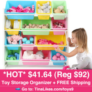 IG-Toy-Storage-Organizer