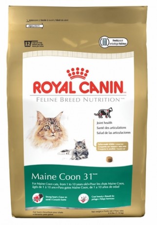Free Sample Royal Canin Cat Food
