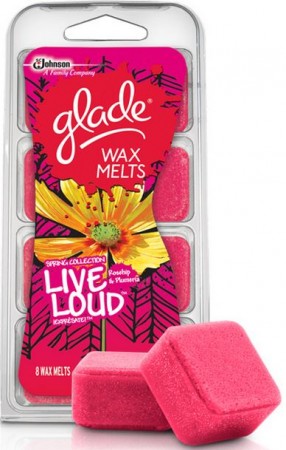 $1.19 (Reg $3) Glade Wax Melts at Target