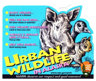 Free Urban Wildlife Sticker