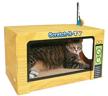 Cat-TV-Scratcher