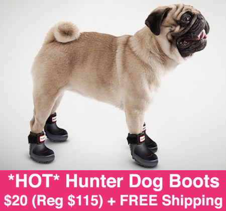 *HOT* $20 (Reg $115) Hunter Boots for Dogs + FREE Shipping