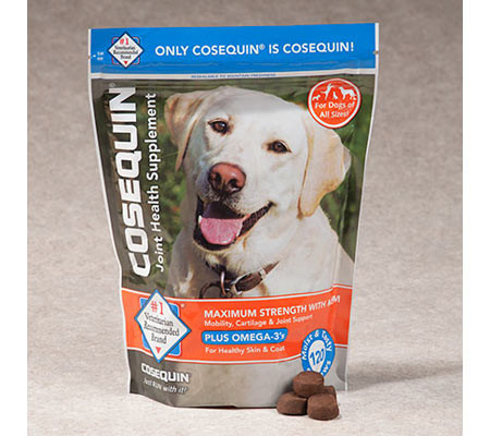 FREE Sample of Cosequin DS and Boswellia Chews for Dogs