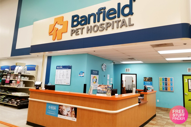 banfield petsmart