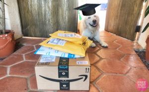 FREE 6-Month Amazon Prime Membership for College Students (FREE $6 Prime Video Credit!)