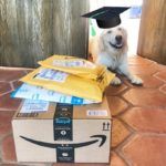 Amazon-Prime-Boxes