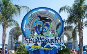 FREE Tickets to SeaWorld (U.S. Veterans + Guests)!
