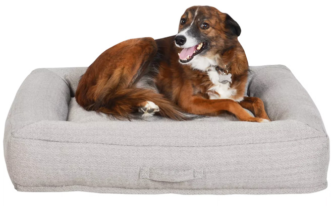 black friday pet beds