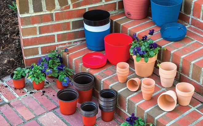 Gardening Items for JUST $1 at Dollar Tree