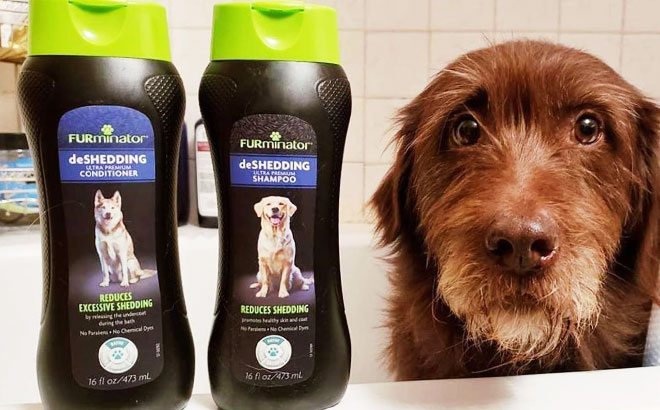 furminator shampoo