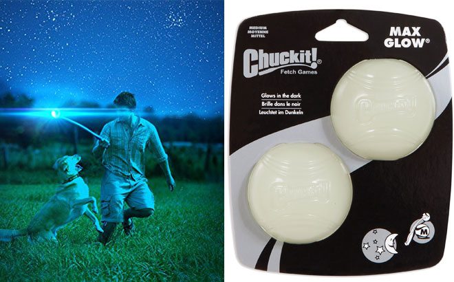 chuckit max glow ball medium