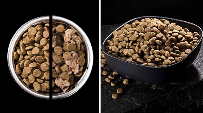 crave 22 lb dog food