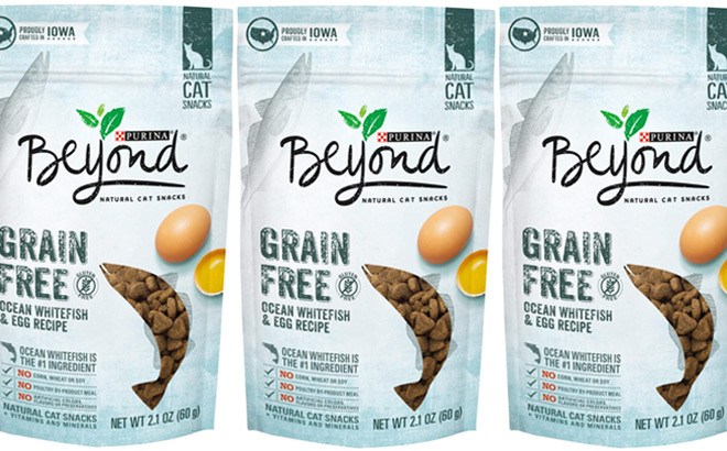 beyond cat treats
