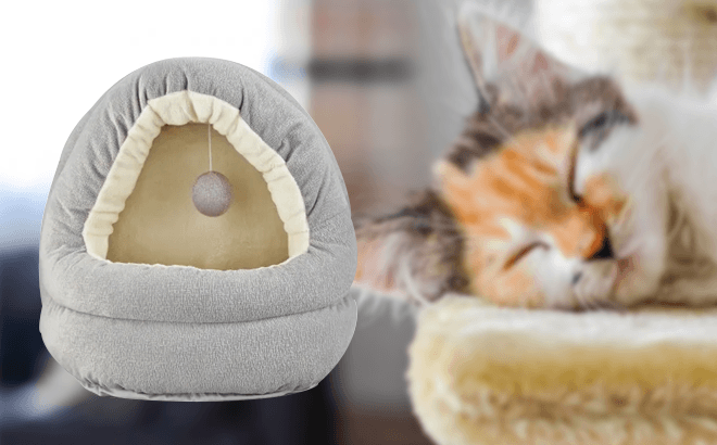 harmony cat bed