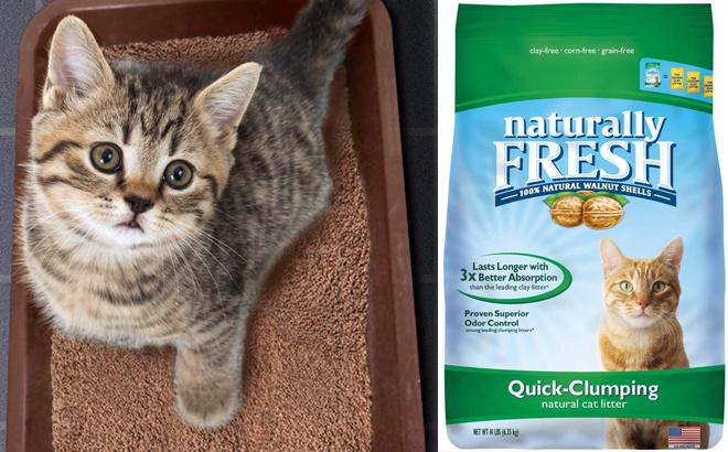 walnut clumping cat litter