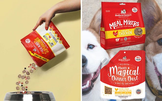 amazon stella and chewy