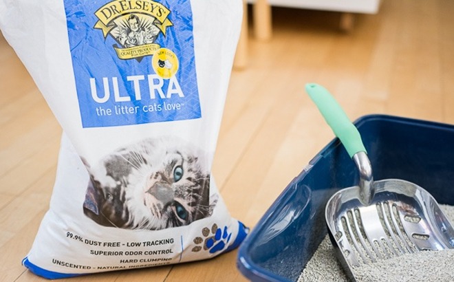 FREE Cat Litter at Amazon, Petco or PetSmart