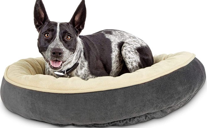 Dog Bed ONLY $15 (Reg $30)