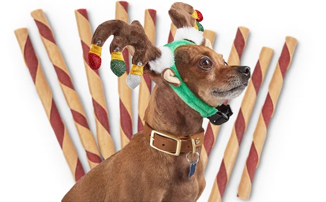 50% Off Holiday Pet Toys, Treats & Accessories at Petco