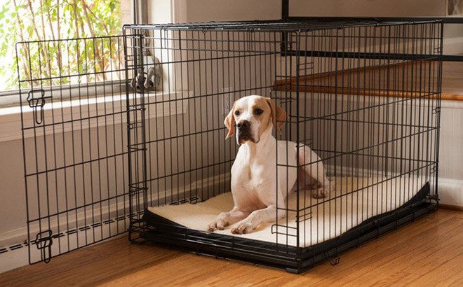Large Dog Crate 2 for $48 - That's $23.99 Each!