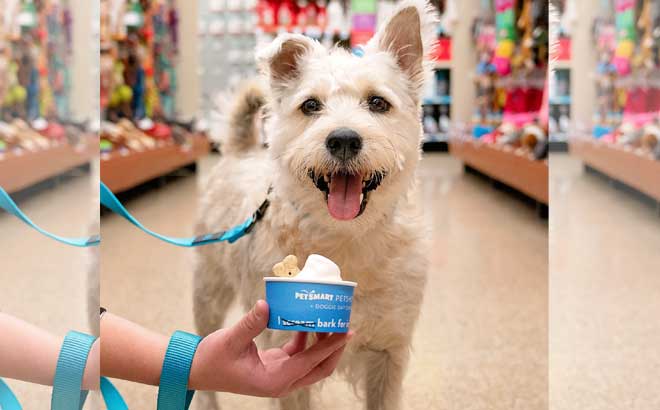 FREE Doggie Ice Cream & Photo at PetSmart (Today Only)