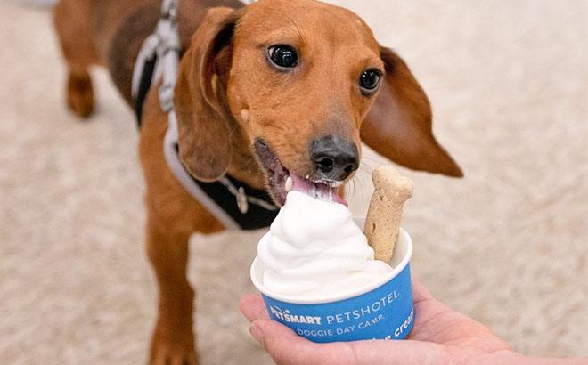 FREE Doggie Ice Cream & Gifts at PetSmart