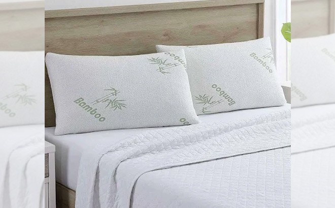 Bamboo 2-Pack Pillow $16 (Reg $40)
