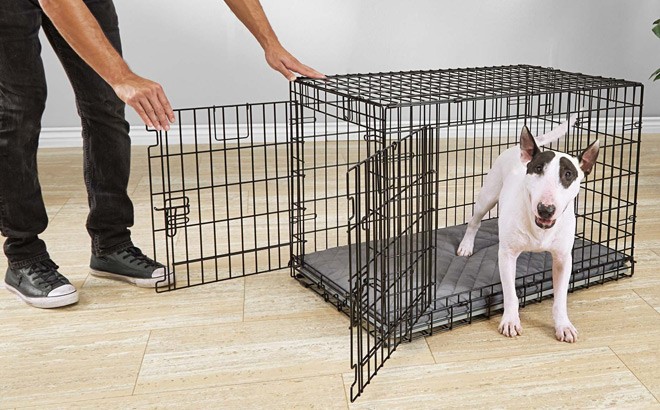 2-Door Folding Dog Crate From $15