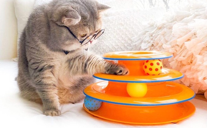 Interactive 3-Tier Cat Toy $6