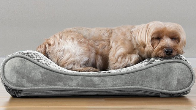 pet pillow promo code